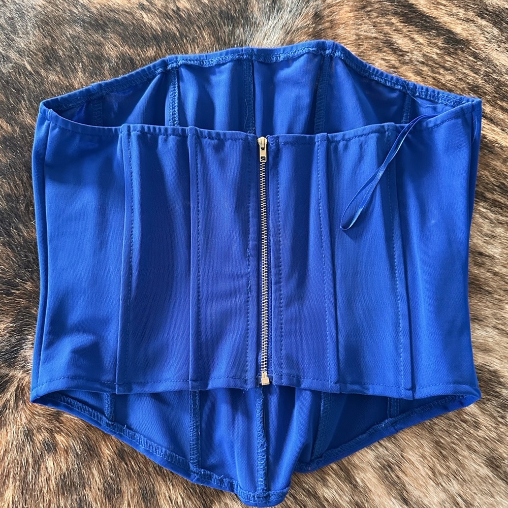 Windsor Sapphire Blue Mesh Corset - Picture 2 of 3
